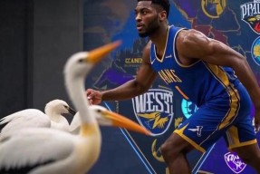 包含新奥尔良鹈鹕发布备战花絮，国际比赛日调整名单，欧超杯任务艰巨，资深球员宣示担当的词条